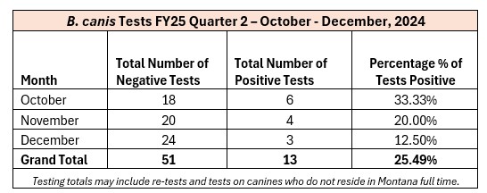 FY25 Q2 4