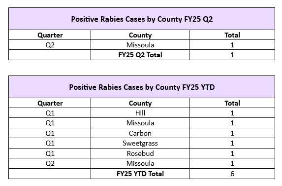 FY25 Q2 18