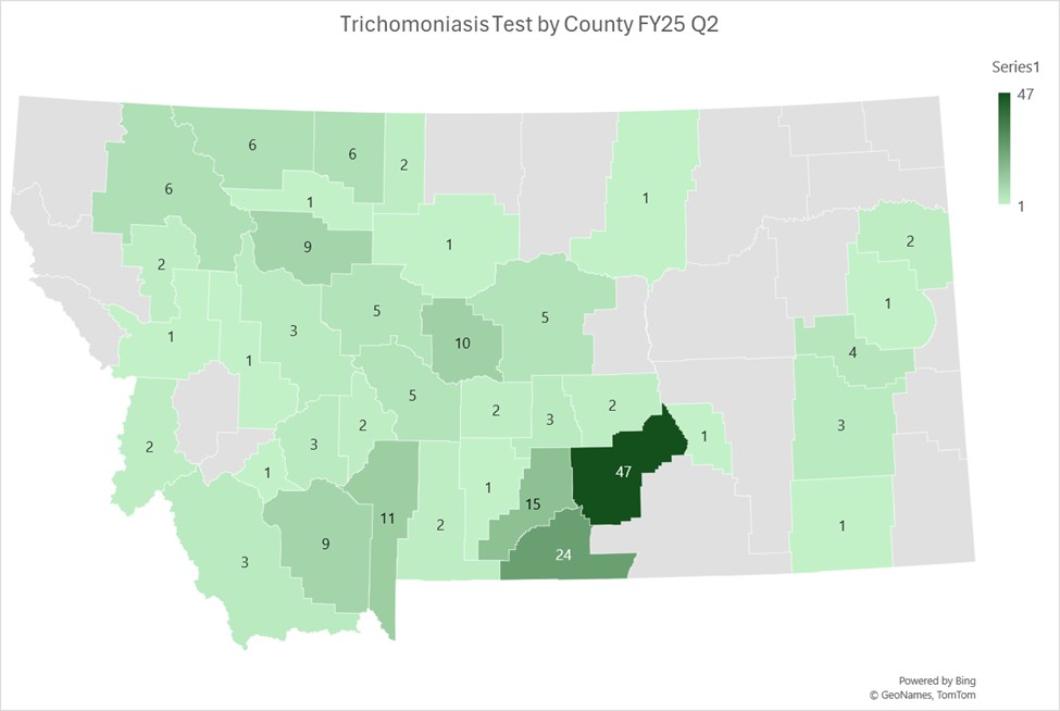 FY25 Q2 21