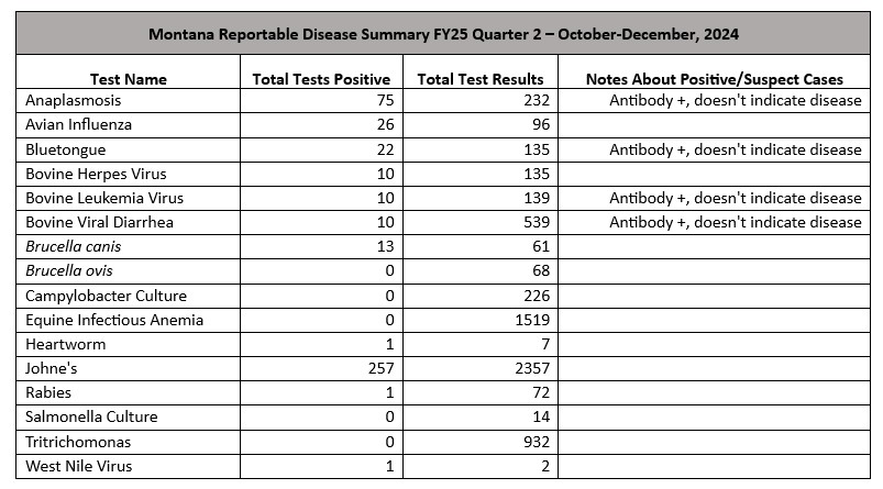 FY25 Q2 24