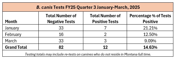 FY25 Q3 3