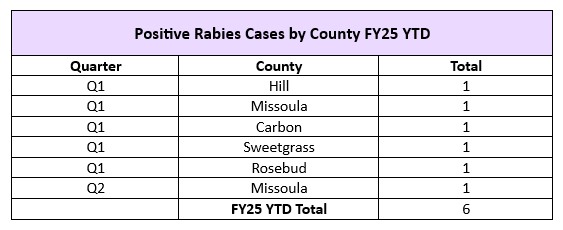 FY25 Q3 17