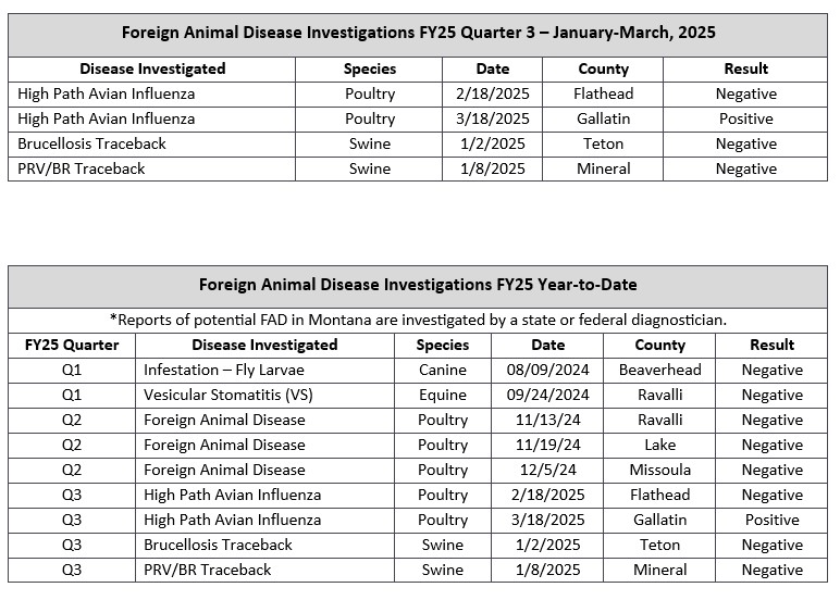 FY25 Q3 22