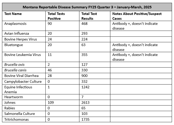 FY25 Q3 23